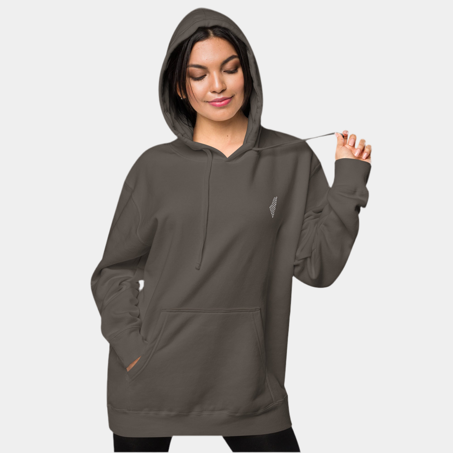 Sudadera con capucha del mapa de Palestina — Serie Pigmento Vintage